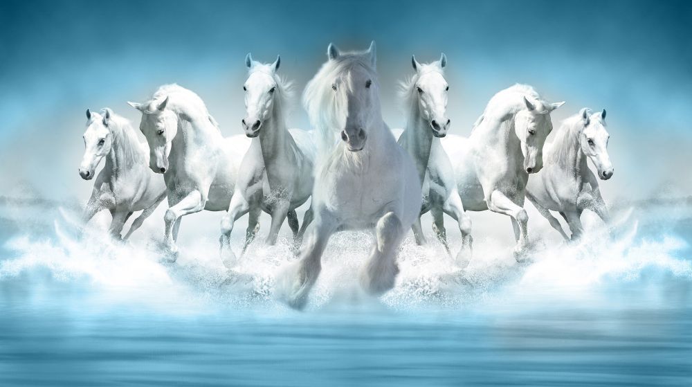 7 White Horse Wallpaper Vastu - Tutorial Pics